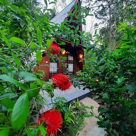 The Otunna Guest House Sigiriya Dış mekan fotoğraf