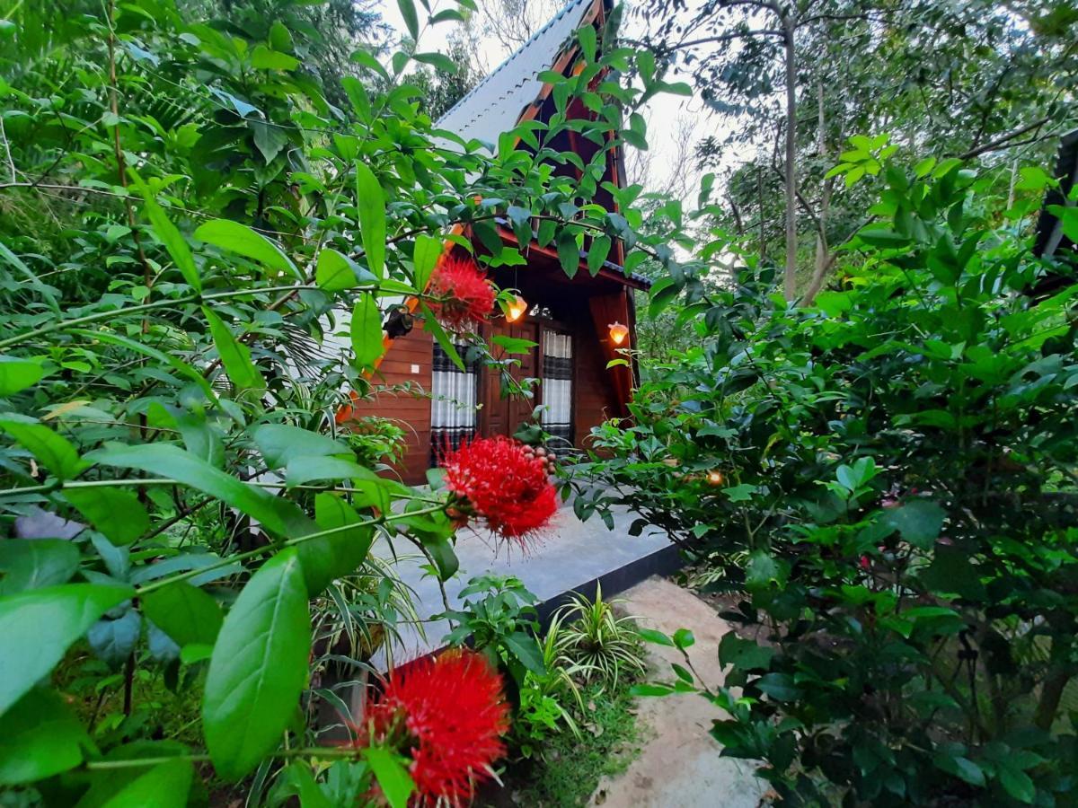 The Otunna Guest House Sigiriya Dış mekan fotoğraf