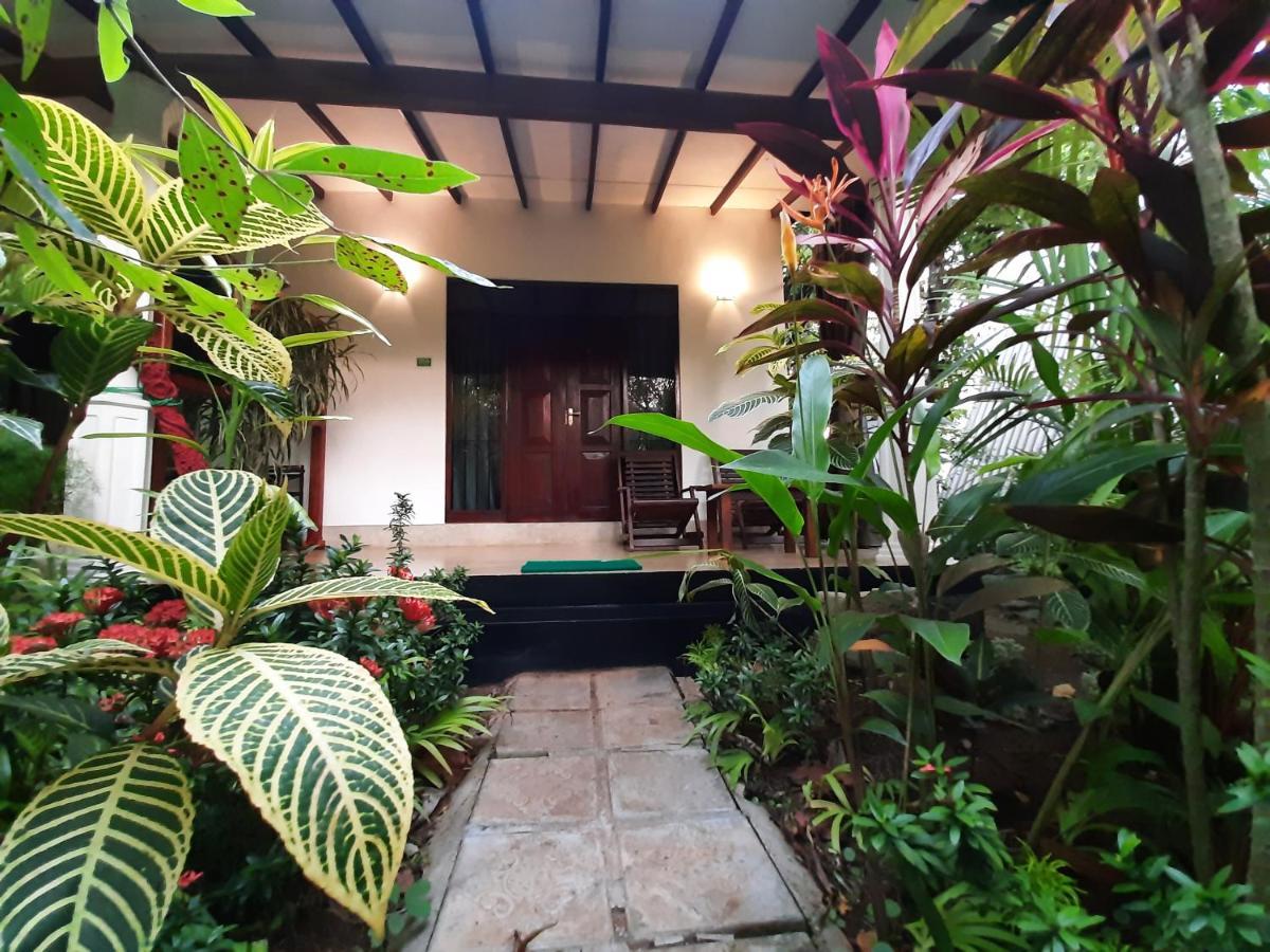 The Otunna Guest House Sigiriya Dış mekan fotoğraf