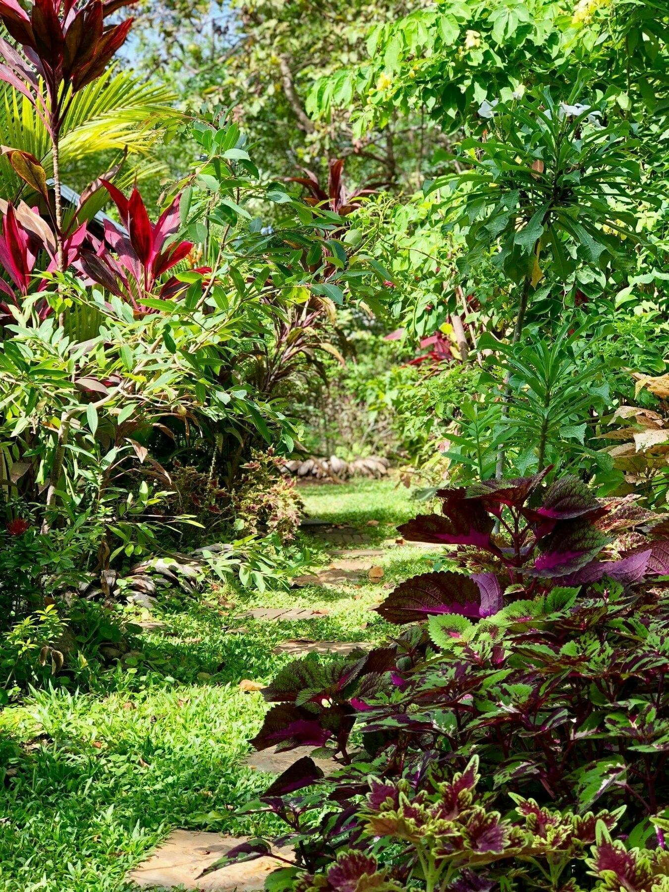 The Otunna Guest House Sigiriya Dış mekan fotoğraf